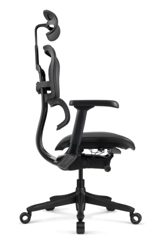 Image of Ergohuman LE9ERG Executive High Back Leather Swivel Office Chair with Tilt Tension Control, Tilt Lock, Synchro Tilt, Seat Height & Depth, & Arm Height Adjustments, Matte Black Frame