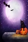 AOFOTO 3x5ft Halloween...