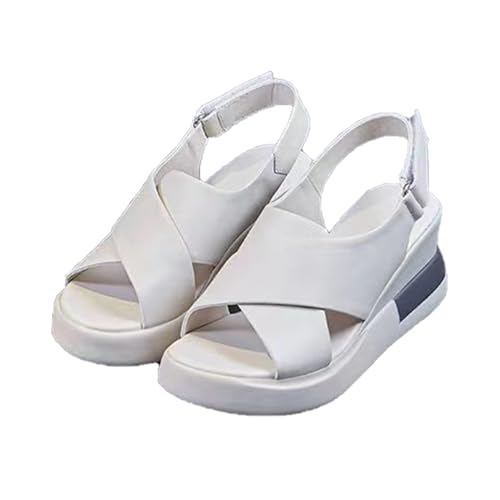 [VRGT]  T_ 23.5cm ₷  fB[X Vv Xgbv X|[cT_ X|T 4.5cmq[ zCg xN 킢  TCY 傫TCY    C r[` s 3e T_