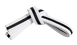 Mastery Leadership (white belt/Black stripe, 5)