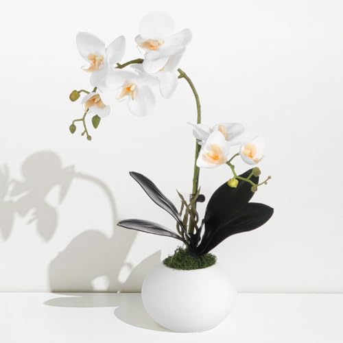 Orchidée blanche au toucher réaliste pour décoration de table de salon