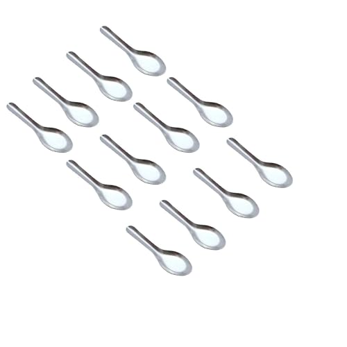 Stainless Steel Mini Coffee Tea Spoons Stainless Steel Spice Box Spoons Set of 12 (Silver Color)