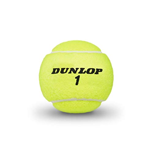 Dunlop Atp Championship (Extra Duty) Tennis Balls (Case) #TOP1
