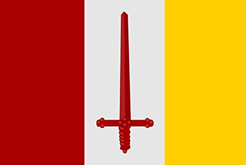 Drapeau Aalst grand format en maille bloquée supérieure pour mât - 2