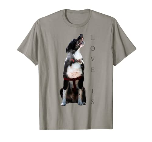 Border Collie Camisa Love Is Dog Mom Dad Pet Puppy Cute Tee Camiseta