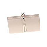 Pochette : capacité moyenne, peut contenir vos cartes de visite, téléphone, portefeuille et quelques petits articles, sac à dîner