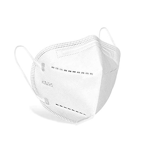 Lifelong Particulate Respirator KN95 Mask, Pack of 1 (B0876C6TJN) Amazon Price History, Amazon Price Tracker