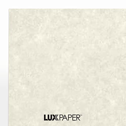 8 1/2 X 11 Cardstock - Cream Parchment (50 Qty.) | Perfect For Resumes, Paper Crafting, Wedding Invitations, Card Making, Awards, Business Cards, Layer Cards | 65Lb Paper | 81211-C-29-50 #TOP6