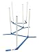 Agility Weave Poles Adjustable 6 Pole Set with Carrying Case and Grass Stakes