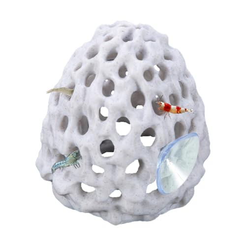 Cachette pour Crevettes,Accessoire Décoratif pour Aquarium Betta avec Ventouse pour Petits Poissons,Guppys,Cachette et Repos