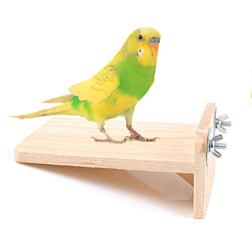 See full amazon price history chart for Western Era Natural Wood Platform Cum Perch Cum Stand Bird Toy Ideal for Birds, Hamsters (Light Weight) Western Era Natural Wood Platform Cum Perch Cum Stand Bird Toy Ideal for Birds, Hamsters (Light Weight) (B087M6FWL2) Amazon Price History, Amazon Price Tracker