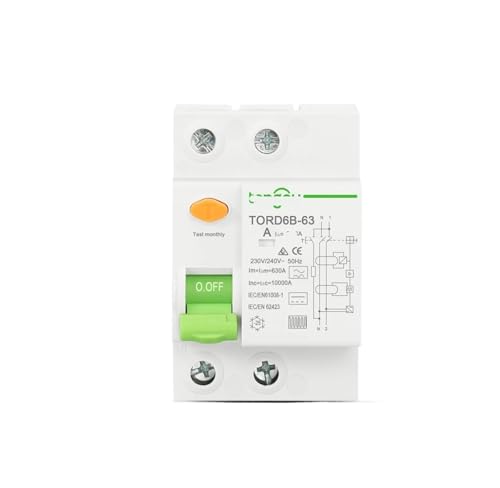 Disjoncteur différentiel Type B 16A 100mA TORD6B-63 2P 10KA pour borne de recharge de voiture électrique