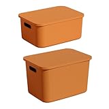 Contenedores organizadores – 2 contenedores grandes, caja organizadora con tapa y asa, para armario, ropa, hogar, dormitorio, baño