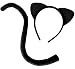 Cat Ears and Tail Costume Adult Women & for Kids Black Cat Halloween Costume Sexy Set & Cosplay Accessories Kit