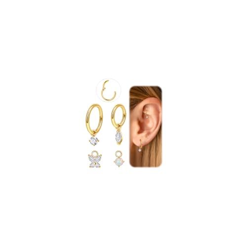 LOAYHOAY 16G 18G G23 Titanium Clicker Rook Piercing Jewelry for Women Dangle Helix Hoop Earring Cartilage Earring Conch Tragus Hoop Hypoallergenic CZ Lobe Daith Piercing Jewelry 6mm 8mm G by LOAYHOAY - Used condition - US$11.07