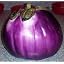 Purple 4