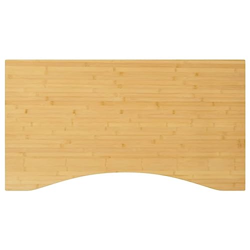 vidaXL Tablero de Escritorio de bambú 100x60x2,5 cm