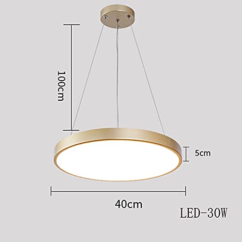 Lumières télécommande amorçage lustre LED rond à intensité réglable