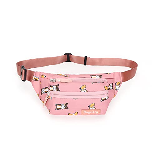 Baystory Fanny Pack for Women & Men, Waist Bag with Adjustble Belt, Large Crossbody Belt Bags, Hands-Free Wallets Waist Pack Phone Bag for Running Cycling Traveling Hiking, Pink