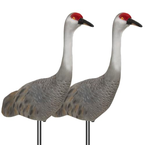 Final Approach Live Fully Flocked Sandhill Crane Upright Decoys