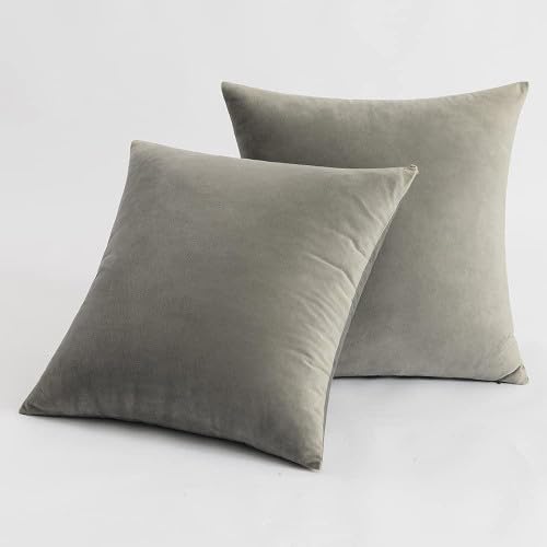 Makooz Solid Velvet Cushion Covers 18x18 Inch Pack of 2 - Invisible Zipper Soft Decorative Square Throw Pillow Cover -Home Decor Luxury Pillowcase for Sofa Couch Livingroom Bedroom -45X45cm Light Grey โ image 1