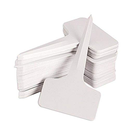 Haudang 100 pcs Garden Labels Gardening Plant Classification Sorting Sign tag Ticket Plastic Writing Plate Board Plug in Card White
