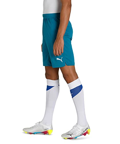 Image of PUMA Men Shorts