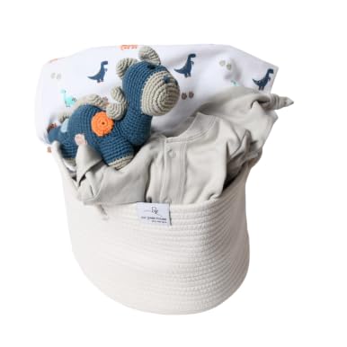 Baby Gift Basket - Dinosaur