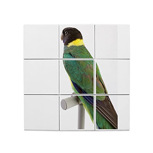 Carreaux céramique oiseau exotique 15,2 cm fresque murale anti-humidité