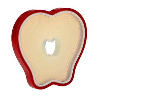 Image of Nuby 100% Silicone Fruit Teether | Apple - 3+ Months