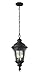 Z-Lite 545CHM-BK Outdoor Chain Light