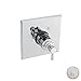 TRIM KIT-SHOWER SET THERMSQUARE PLATE