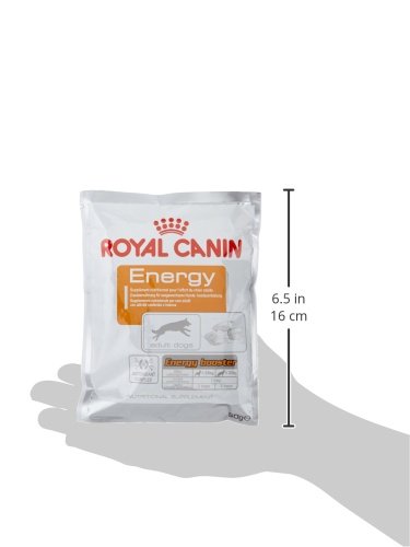 Royal Canin Hundesnack Energy 50 g, 1 Stück