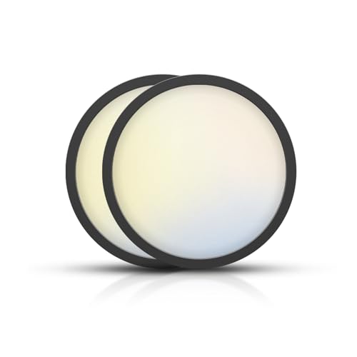 TOPELER Black Slim LED Surface Mount Ceiling Light, 9inch Dimmable Round Flat Panel Lights, 24W 2000Lm, 5CCT Selectable Low Profile Ceiling Light Fixtures for Hallway, Kitchen, Porch, 2 Pack