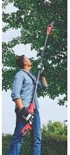 Person using Hyper Tough pole saw to trim tree branches
