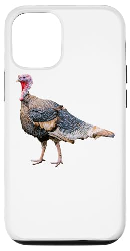 ʒ X}zP[X iPhone 12/12 Pro p