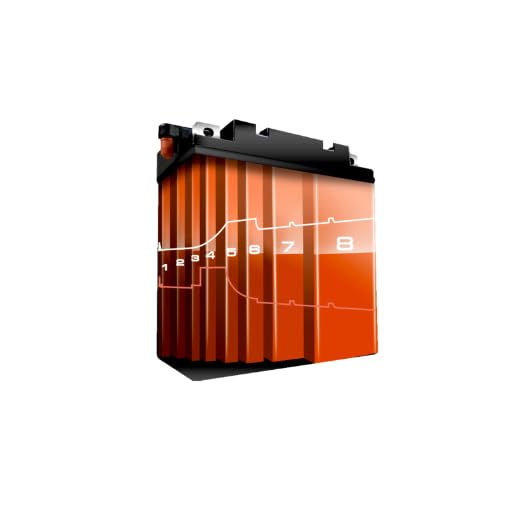 Bahco ELEC12V-6AMP chargeur de batterie intelligent 12V 6A - 4