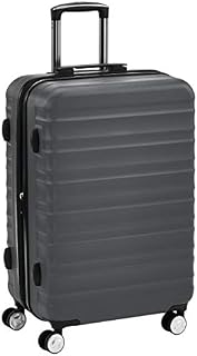 AmazonBasics Premium Hardside Spinner Suitcase Luggage with Wheels - 24-Inch, Grey