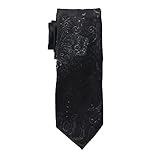 Ryan Seacrest Distinction Mens Lance Paisley Office Neck Tie Black O/S