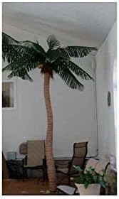Sunrise Palm Artificial Palm Tree (8 ft.)