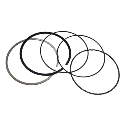Segments de piston Snarler AT6 F01B00020001 pour stopper la perte de puissance