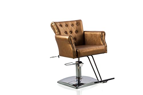 Beautystyle Beauty Salon Barber Chair Hair Styling Chair Hydraulic Salon Chair for Hair Stylist Gold 360 Degrees Swivel