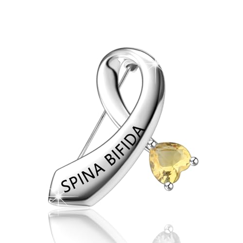 Broche ruban de sensibilisation spina bifida CENWA un cadeau de soutien