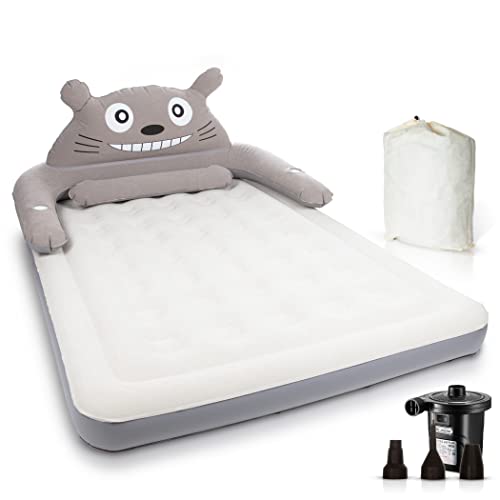 Top 10 Best Blow Up Queen Mattress Reviews & Buying Guide Katynel