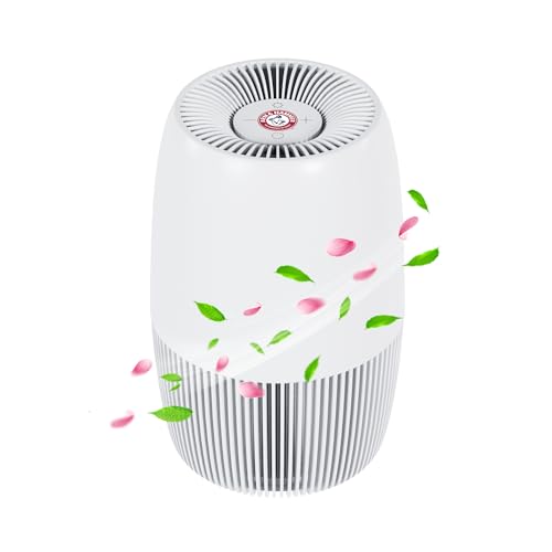 HEPA Air Purifier