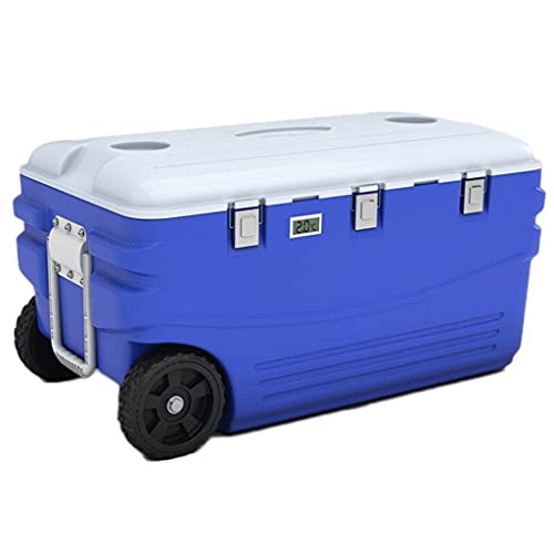 14 Best Rolling Cooler For Beach in 2023