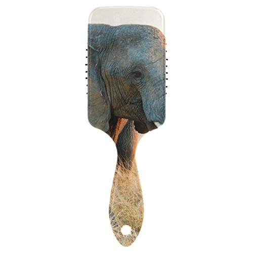 MONTOJ Cepillo de pelo profesional con diseño de elefante africano fuerte con base de cojín, juego de ventilación interior con dientes especiales de nailon suave