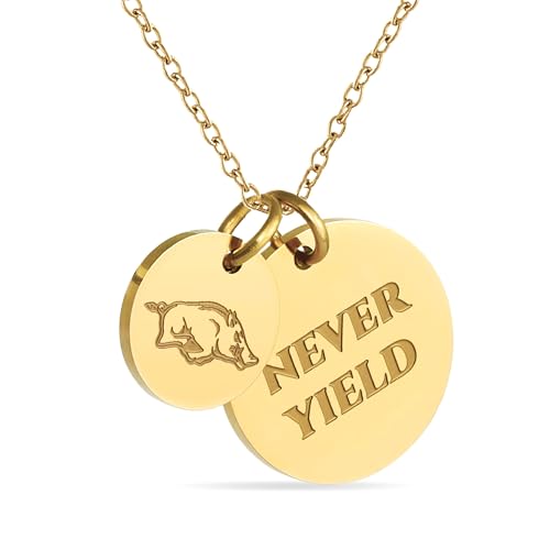 Stone Armory Necklace for Arkansas Razorbacks - 18K Gold-Plated Stainless Steel Jewelry Designed for Sensitive Skin - Adjustable 16-20in Chain, Gift for University of Arkansas Fans by Stone Armory - Used condition - US$10.31