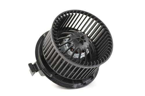RIDEX Ventilador habitáculo 2669I0003 по часовой стрелке compatible con RENAULT MEGANE II Ranchera familiar KM0/1 MEGANE II Coupé-Cabriolet EM0/1 GRAND SCÉNIC II JM0/1 MEGANE II BM0/1, CM0/1