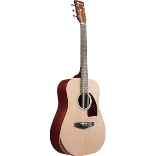 Ibanez PF15JR-OPN Open Pore Natural guitare folk avec housse – Image 3